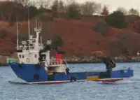Arbeidsbåter til salgs