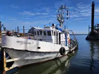 Slepebåt til salgs