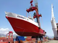 Containerskip til salgs