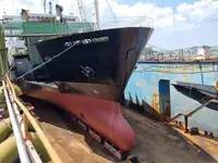 Ro-Ro ship til salgs