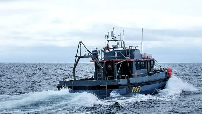 Containerskip til salgs