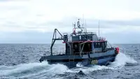 Containerskip til salgs