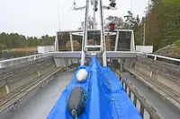 Cruiseskip til salgs