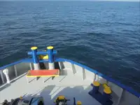 Kjøleskip til salgs