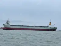 Containerskip til salgs