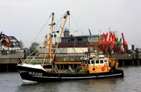 Trawler til salgs