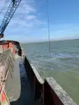 Dredge til salgs