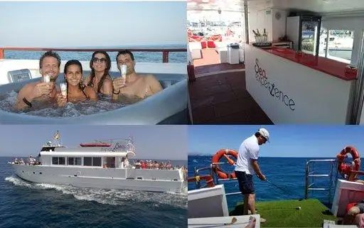 Cruiseskip til salgs