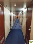 Cruiseskip til salgs