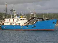 Bulktransportør til salgs