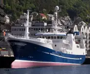 Purse seiner til salgs