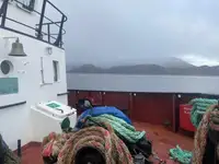 Slepebåt til salgs
