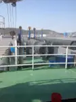 Dredge til salgs