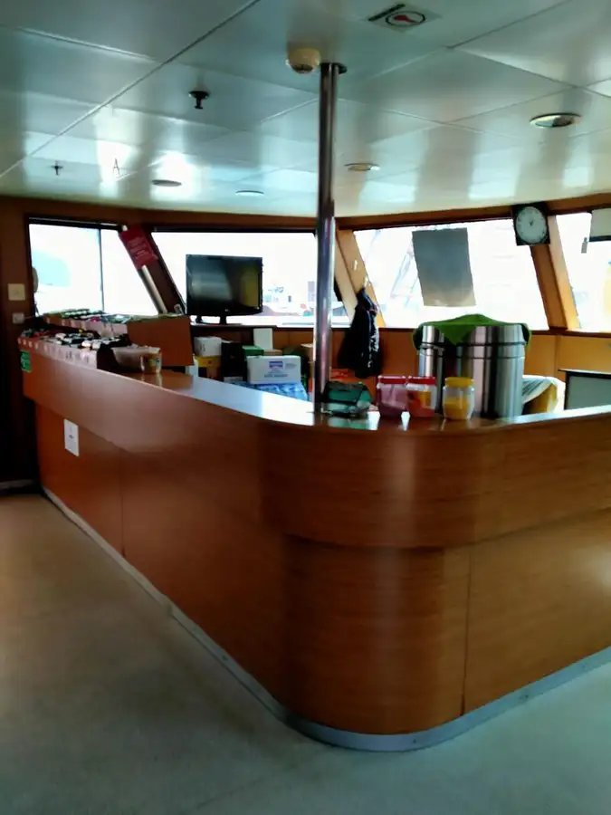 Cruiseskip til salgs