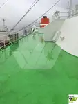 Cruiseskip til salgs