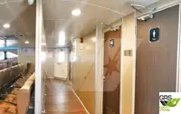 Cruiseskip til salgs