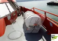 Cruiseskip til salgs