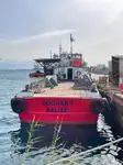 Containerskip til salgs