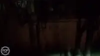 Tråler til salgs