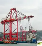 Bulktransportør til salgs