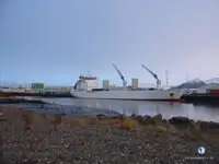 Kjøleskip til salgs