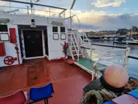 Cruiseskip til salgs
