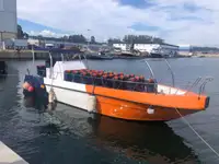 Fergefartøy til salgs