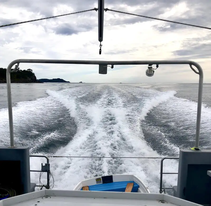 Forskningsfartøy til salgs