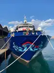 Cruiseskip til salgs