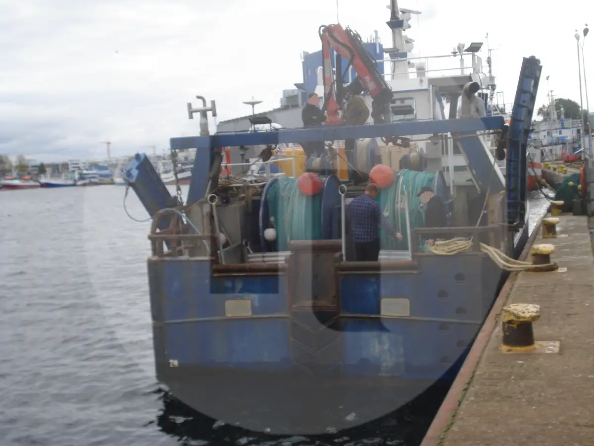 Levende fiskebåt til salgs