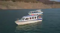Cruiseskip til salgs
