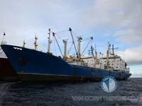 Kjøleskip til salgs