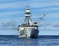 Purse seiner til salgs