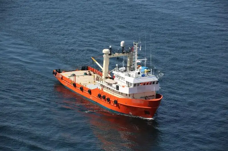 Containerskip til salgs