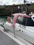 Losbåt til salgs