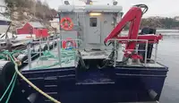Arbeidsbåter til salgs