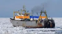 Kjøleskip til salgs