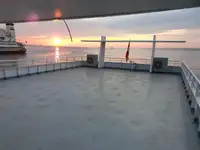 Cruiseskip til salgs