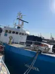 Kjøleskip til salgs