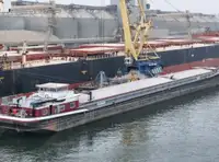 Bulktransportør til salgs