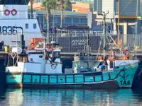 Purse seiner til salgs