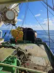 Purse seiner til salgs
