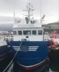 Arbeidsbåter til salgs