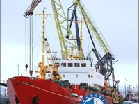Kjøleskip til salgs