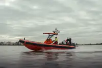 Containerskip til salgs