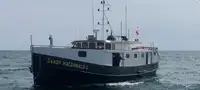 Taubåt til salgs