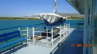 Ro-Ro ship til salgs