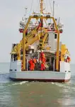 Containerskip til salgs