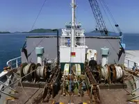 Bulktransportør til salgs