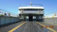 Ro-Ro ship til salgs